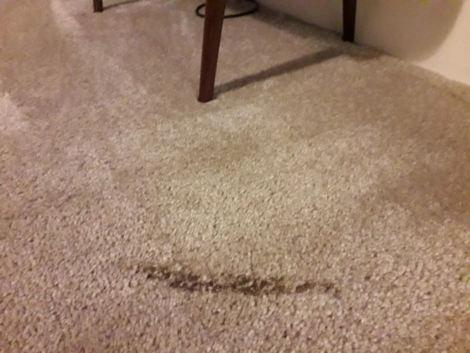 How to Repair Burns from Straighteners, Curlers & Hairdryers